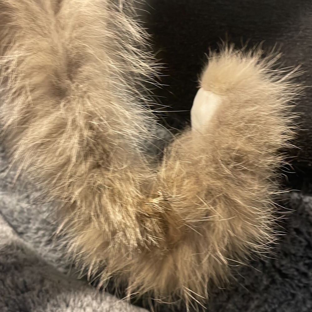 ❤️ Gorgeous Authentic Canada Goose Ruff ♥️ - Picture 10 of 10
